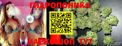 экстази Можга