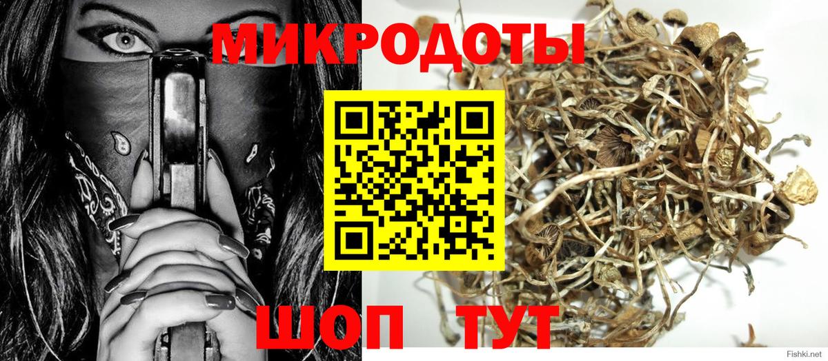 Псилоцибиновые грибы Psilocybine cubensis Туапсе